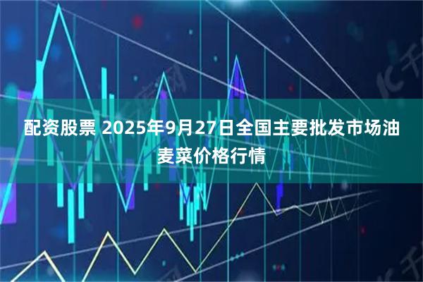 配资股票 2025年9月27日全国主要批发市场油麦菜价格行情
